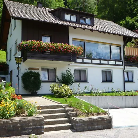 Apartment Ferienwohnung Hetzer *